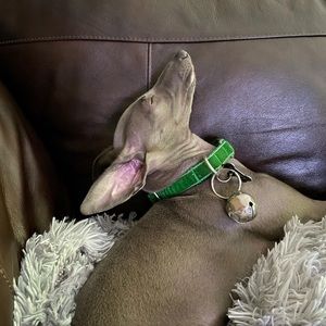 Meet your Posher, Mac